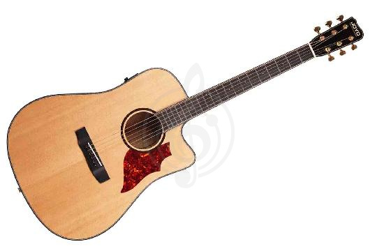 Изображение Трансакустическая гитара JOYO JWGT-02