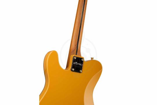 Электрогитара Telecaster Justpro TCSE-RMA01-BG - Электрогитара 6 струн, коричневая,  TCSE-RMA01-BG в магазине DominantaMusic - фото 2