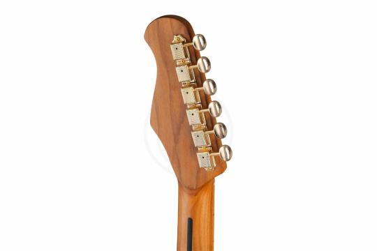 Электрогитара Telecaster Justpro TCSE-RMA01-BG - Электрогитара 6 струн, коричневая,  TCSE-RMA01-BG в магазине DominantaMusic - фото 4