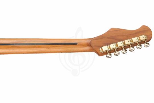 Электрогитара Telecaster Justpro TCSE-RMA01-BG - Электрогитара 6 струн, коричневая,  TCSE-RMA01-BG в магазине DominantaMusic - фото 5