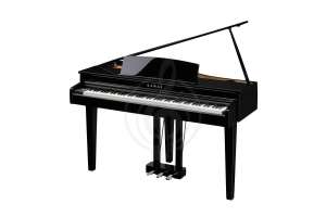 Изображение KAWAI DG30 EP