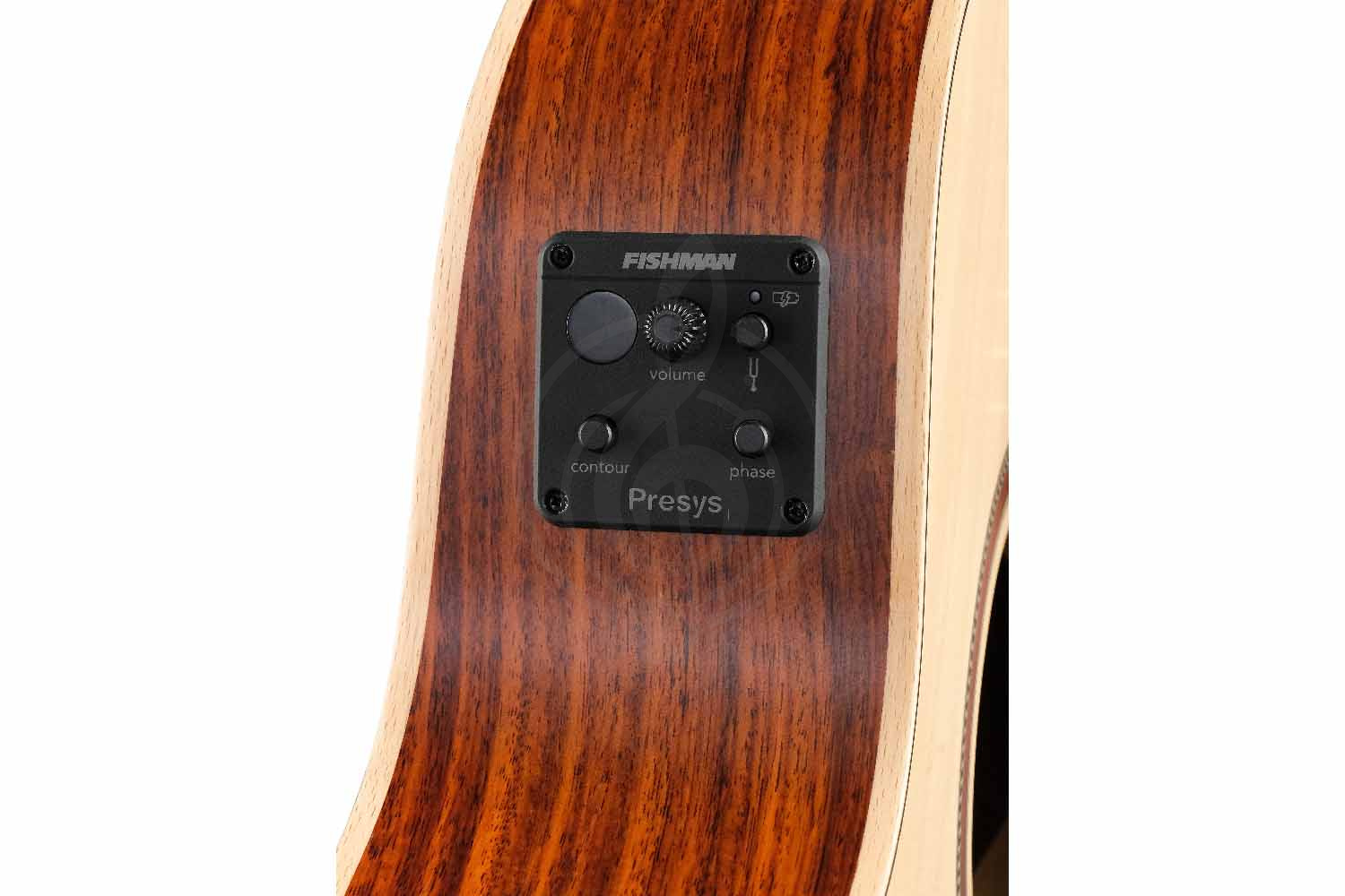 Электроакустическая гитара Kremona F15E Steel String Series - Электроакустическая, Kremona F15E Steel String Series в магазине Доминанта мьюзик - фото 7