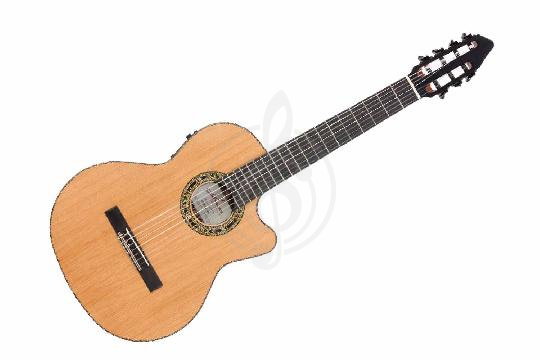 Изображение Классическая гитара Kremona F65CW-7S-T-w/case Performer Series Fiest