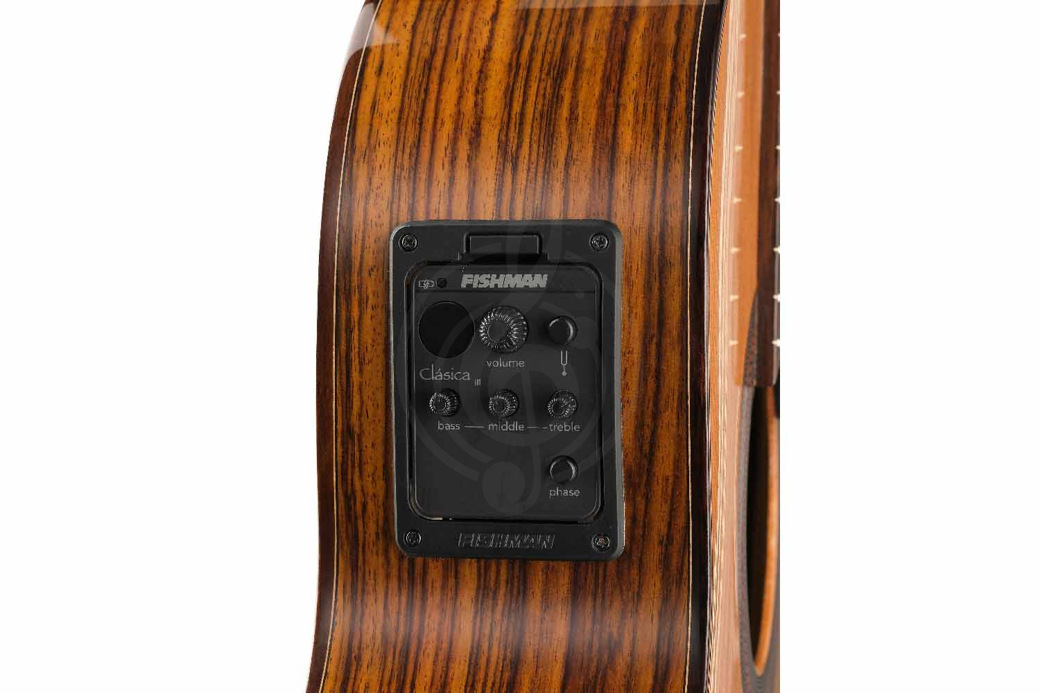 Электроакустическая гитара Kremona F65CW-w/bag Performer Series Fiesta - Электроакустическая гитара, Kremona F65CW-w/bag Performer Series Fiesta в магазине Доминанта мьюзик - фото 5