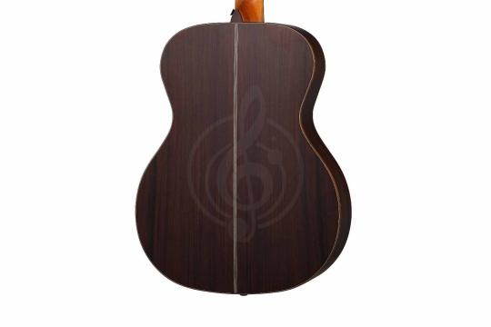 Акустическая гитара Kremona M-25 Steel String Series - Акустическая гитара, Kremona M-25 Steel String Series в магазине Доминанта мьюзик - фото 5