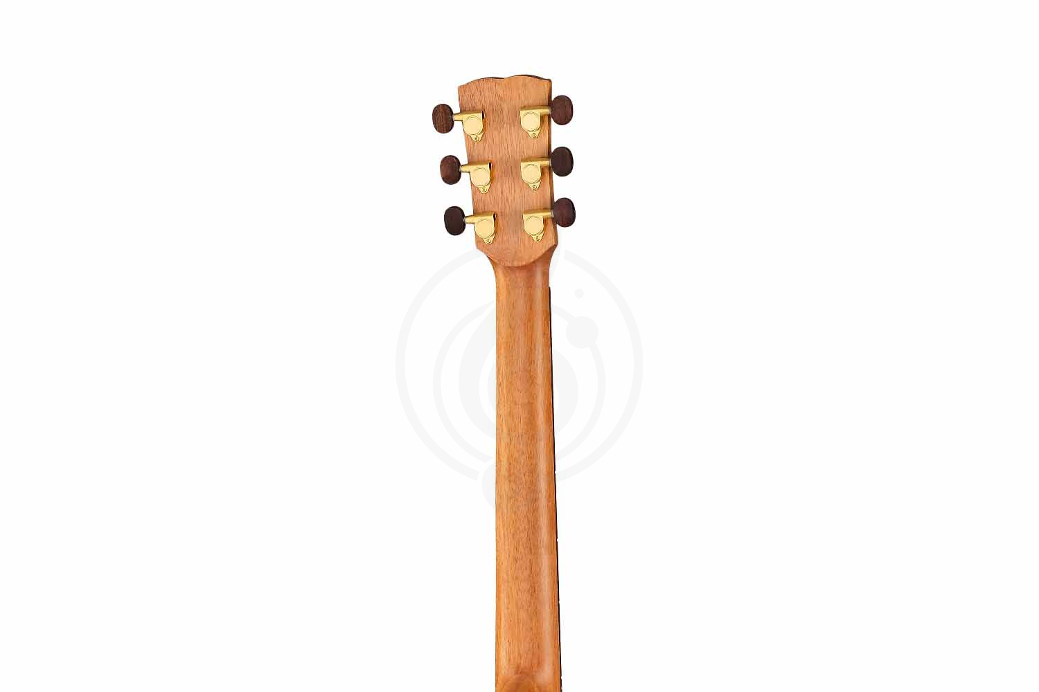 Акустическая гитара Kremona M20C Steel String Series - Акустическая гитара, Kremona M20C Steel String Series в магазине Доминанта мьюзик - фото 2