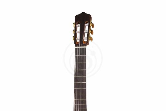 Классическая гитара 4/4 Kremona RB-ROSA-BELLA Flamenco Series - Классическая гитара, Kremona RB-ROSA-BELLA Flamenco Series в магазине Доминанта мьюзик - фото 4