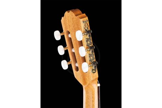 Классическая гитара 1/2 Kremona S53C Sofia Soloist Series - Классическая гитара 1/2, Kremona S53C в магазине Доминанта мьюзик - фото 3