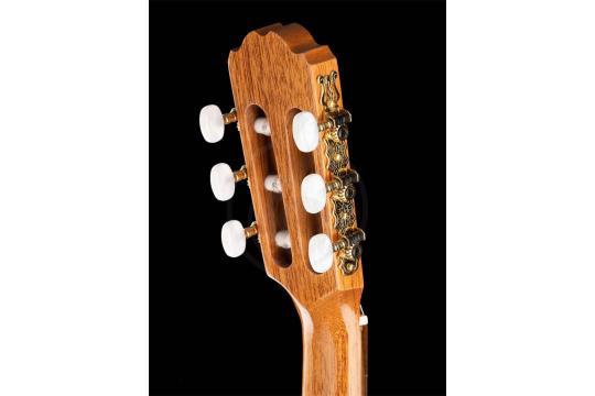 Классическая гитара 1/2 Kremona S56C Sofia Soloist Series - Классическая гитара 1/2, Kremona S56C в магазине Доминанта мьюзик - фото 3