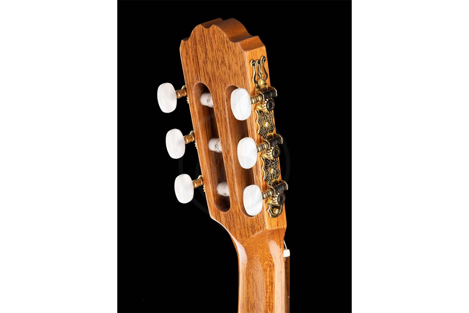 Классическая гитара 1/2 Kremona S56C Sofia Soloist Series - Классическая гитара 1/2, Kremona S56C в магазине Доминанта мьюзик - фото 3