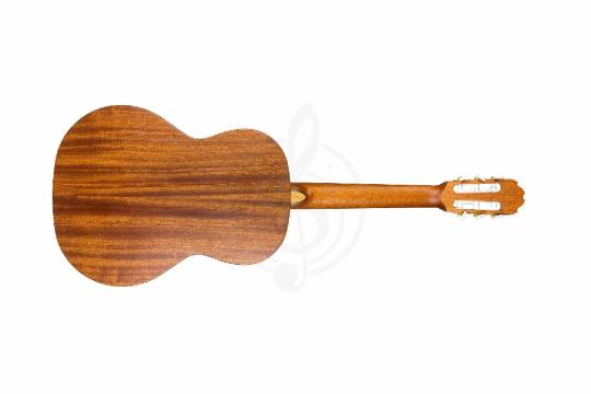 Классическая гитара 3/4 Kremona S58C-OP Soloist Series - Классическая гитара, Kremona S58C-OP Soloist Series в магазине Доминанта мьюзик - фото 2