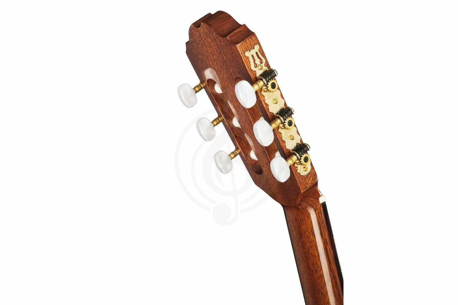 Классическая гитара 3/4 Kremona S62C Sofia Soloist Series - Классическая гитара, Kremona S62C Sofia Soloist Series в магазине Доминанта мьюзик - фото 7