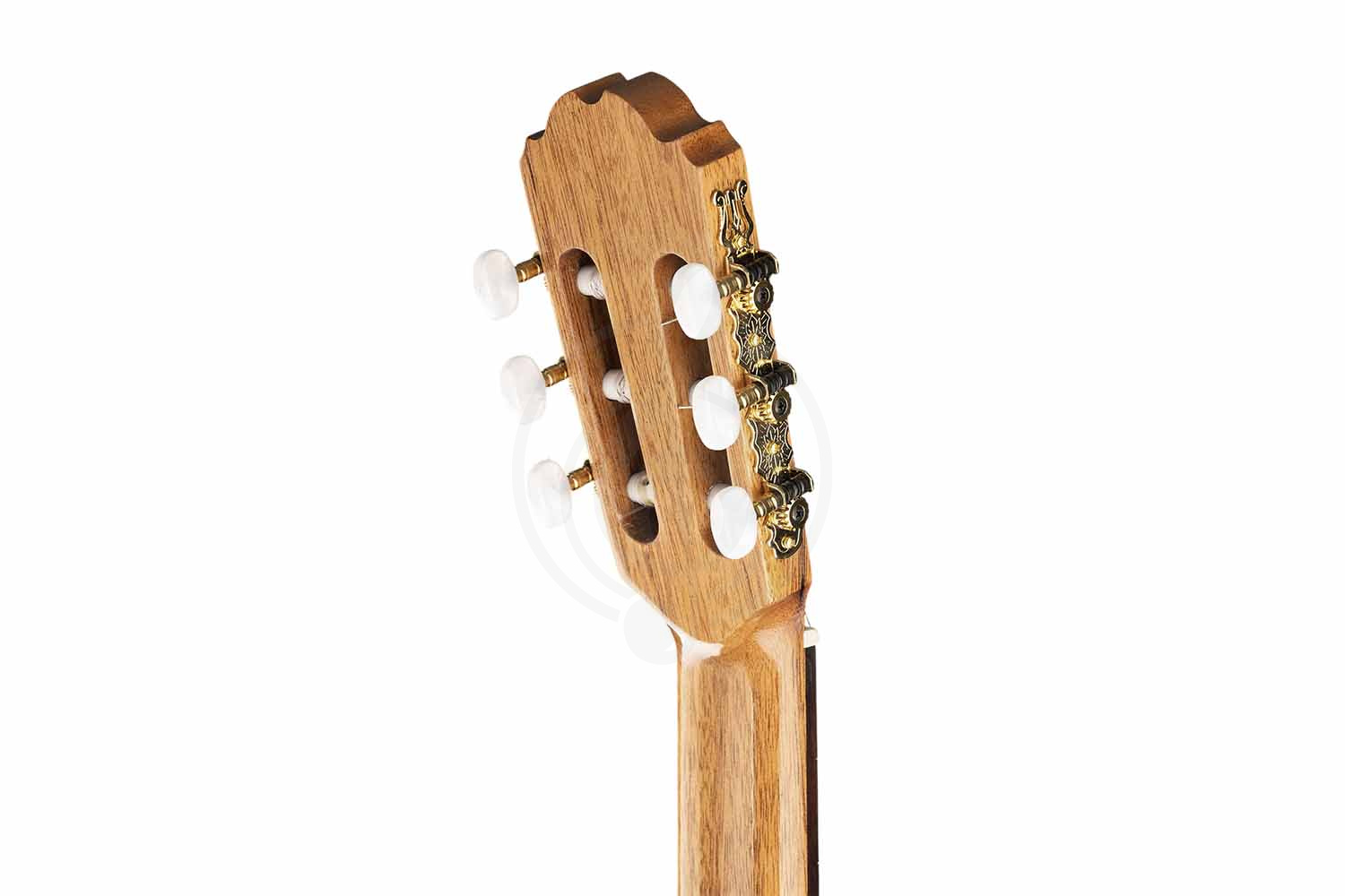 Классическая гитара 4/4 Классические гитары 4/4 Kremona Kremona S65C Sofia Soloist Series - Классическая гитара S65C - фото 3