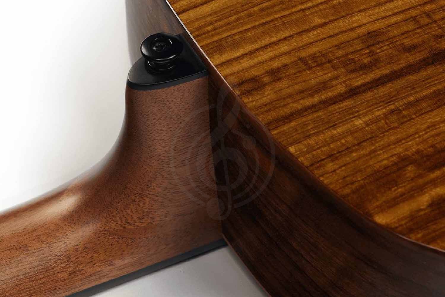 Акустическая гитара LAG T-318A - Гитара акустическая, LAG T-318A в магазине DominantaMusic - фото 7