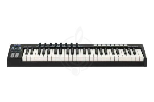 MIDI-контроллер LAudio BLUE-WHALE49 - MIDI-контроллер, 49 клавиш, LAudio BLUE-WHALE49 в магазине Доминанта мьюзик - фото 5