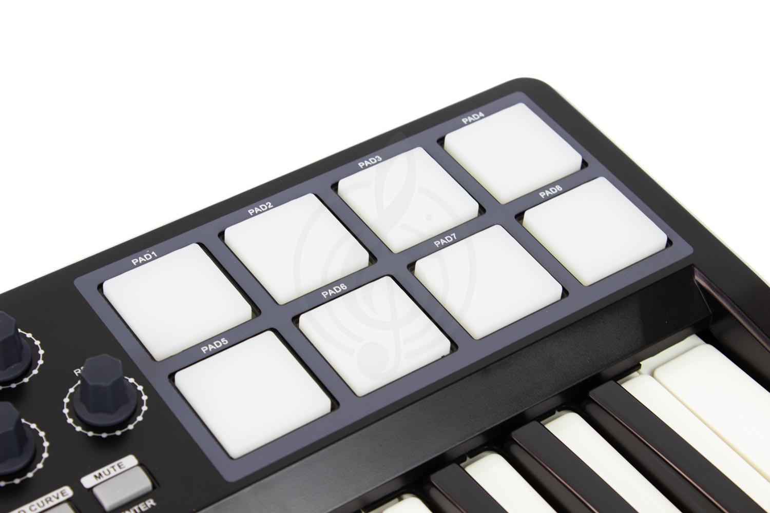 MIDI-клавиатура Миди-клавиатуры LAudio LAudio Panda-25C - Миди-клавиатура с пэдами Panda-25C - фото 7