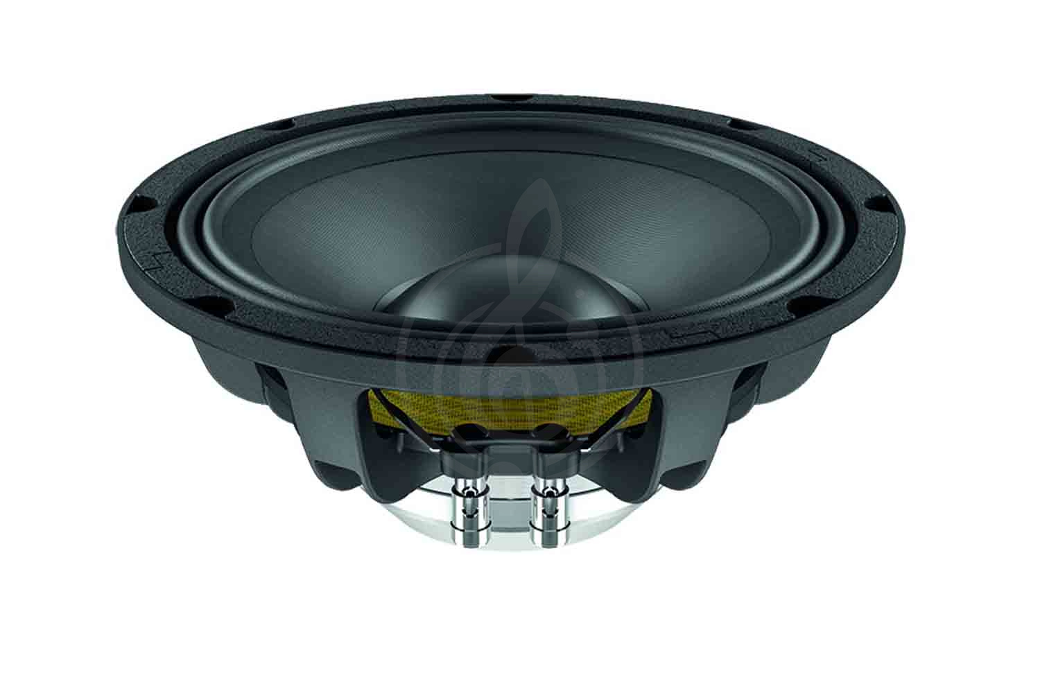 Динамик Lavoce WAN103.01-16 - Динамик 10", Lavoce WAN103.01-16 в магазине Доминанта мьюзик - фото 1