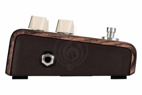 Педаль для электрогитар LR BAGGS Align Chorus - Педаль эффектов, LR BAGGS Align Chorus в магазине Доминанта мьюзик - фото 4