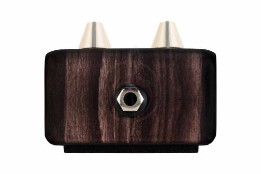 Педаль для электрогитар LR BAGGS Align Delay - Педаль эффектов, LR BAGGS Align Delay в магазине Доминанта мьюзик - фото 3