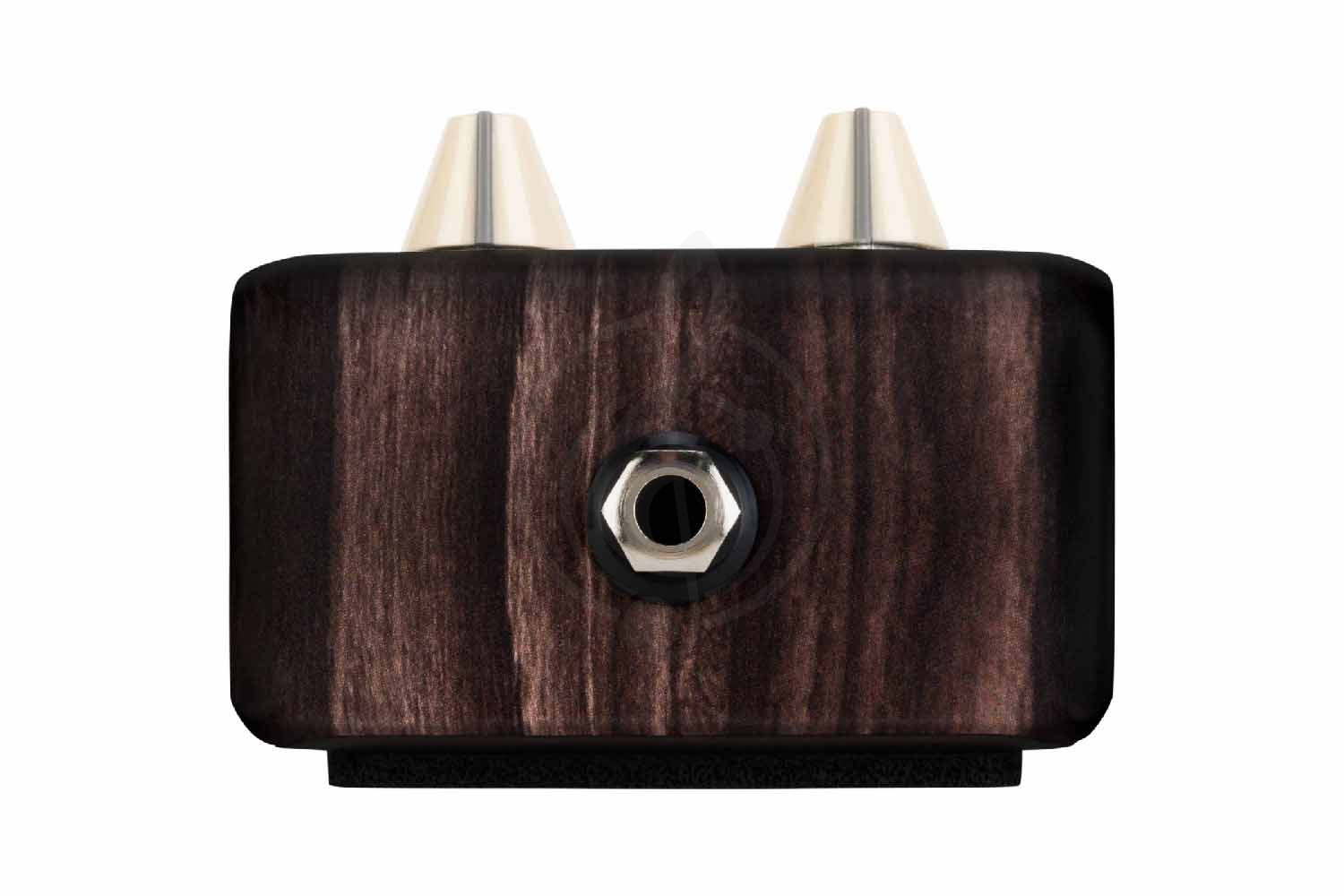 Педаль для электрогитар LR BAGGS Align Delay - Педаль эффектов, LR BAGGS Align Delay в магазине Доминанта мьюзик - фото 3