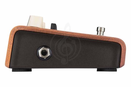 Педаль для электрогитар LR BAGGS Align Equalizer - Педаль эффектов, LR BAGGS Align Equalizer в магазине Доминанта мьюзик - фото 2