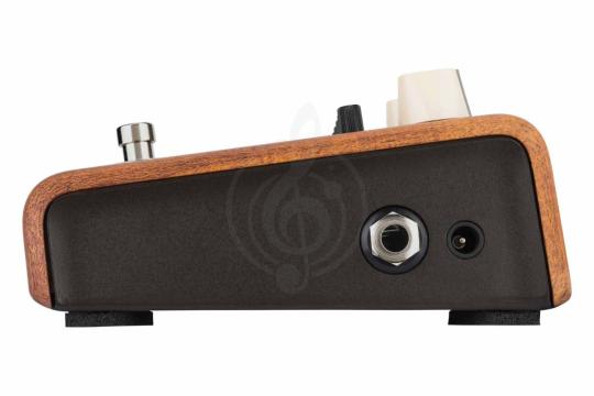 Педаль для электрогитар LR BAGGS Align Equalizer - Педаль эффектов, LR BAGGS Align Equalizer в магазине Доминанта мьюзик - фото 3