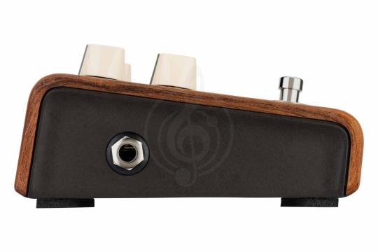 Педаль для электрогитар LR BAGGS Align Reverb - Педаль эффектов, LR BAGGS Align Reverb в магазине Доминанта мьюзик - фото 3