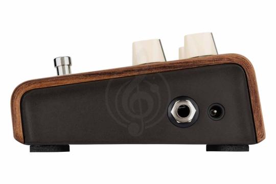 Педаль для электрогитар LR BAGGS Align Reverb - Педаль эффектов, LR BAGGS Align Reverb в магазине Доминанта мьюзик - фото 4