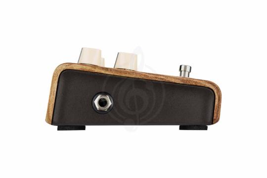 Педаль для электрогитар LR BAGGS Align Session - Педаль эффектов, LR BAGGS Align Session в магазине Доминанта мьюзик - фото 4