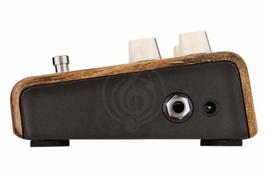 Педаль для электрогитар LR BAGGS Align Session - Педаль эффектов, LR BAGGS Align Session в магазине Доминанта мьюзик - фото 5