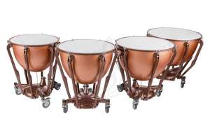 Изображение Этническая перкуссия Ludwig LTS404FG