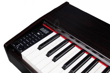 Цифровое пианино Maestro DP-121-HWN - Цифровое пианино, Maestro DP-121-HWN в магазине DominantaMusic - фото 5