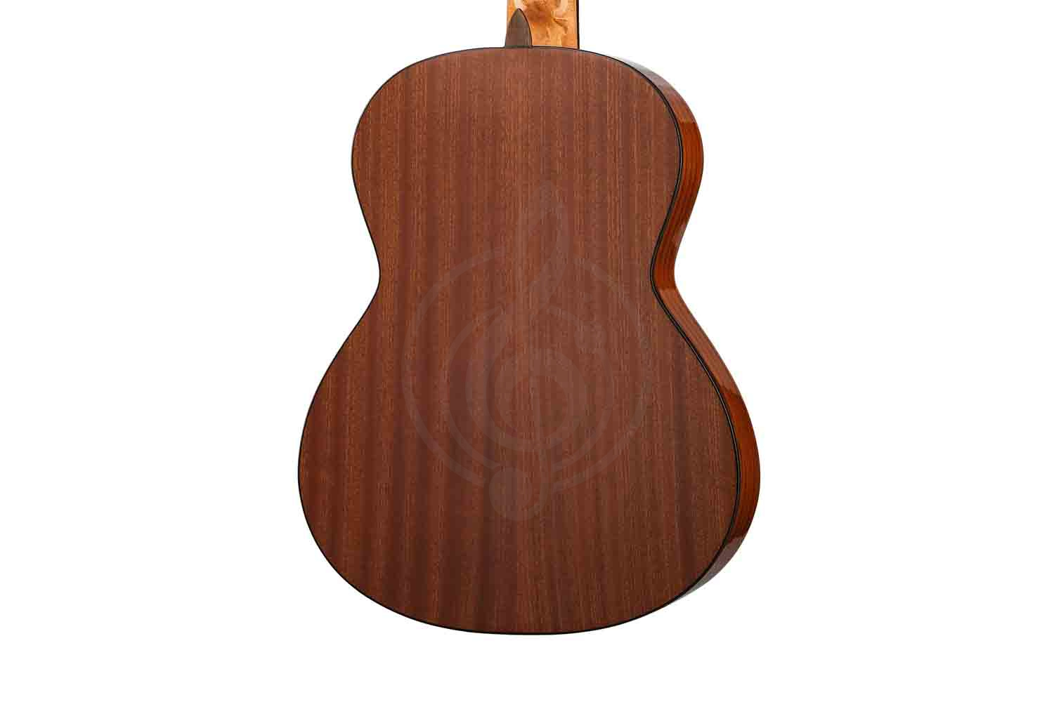 Классическая гитара 3/4 Martinez MC-20S-JUN Elementary Series - Классическая гитара 3/4, MARTINEZ MC-20S-JUN в магазине Доминанта мьюзик - фото 2