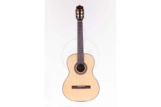 Классическая гитара 4/4 Martinez MC-20S/wbag Elementary Series - Классическая гитара, MARTINEZ MC-20S/wbag в магазине Доминанта мьюзик - фото 9