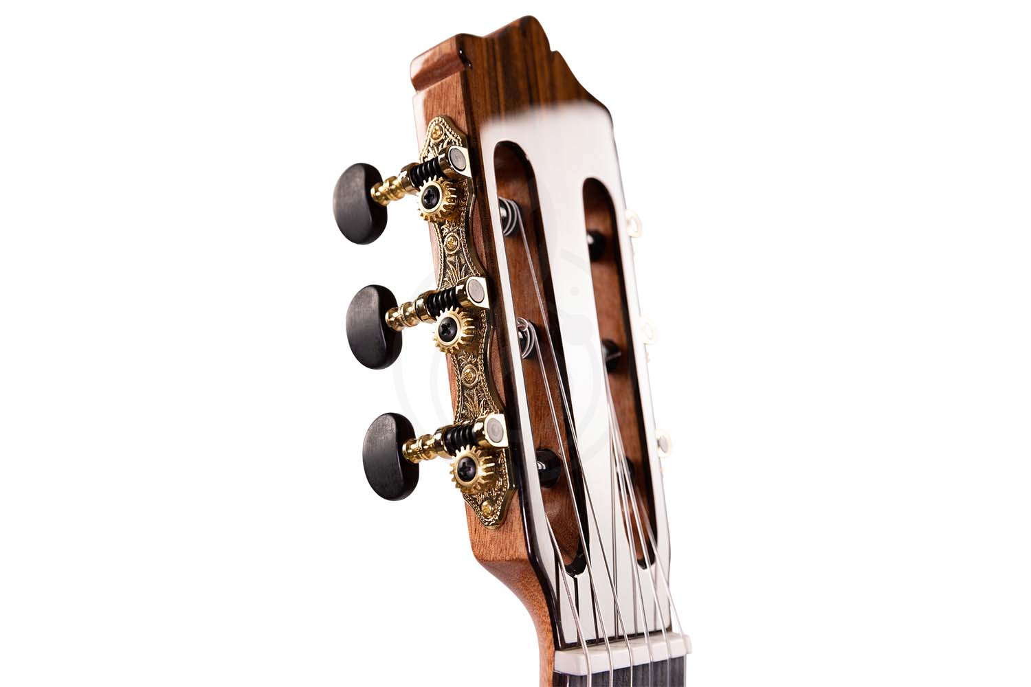 Классическая гитара 4/4 Martinez MC-20S/wbag Elementary Series - Классическая гитара, MARTINEZ MC-20S/wbag в магазине Доминанта мьюзик - фото 5