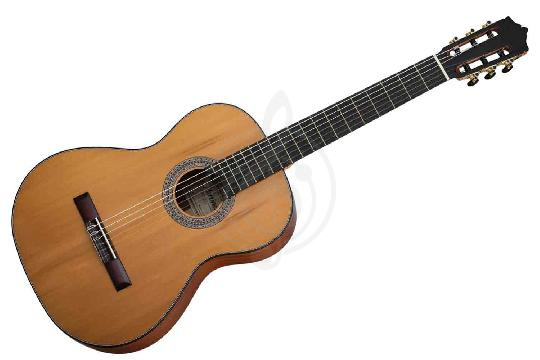 Изображение Классическая гитара MARTINEZ MC-35C
