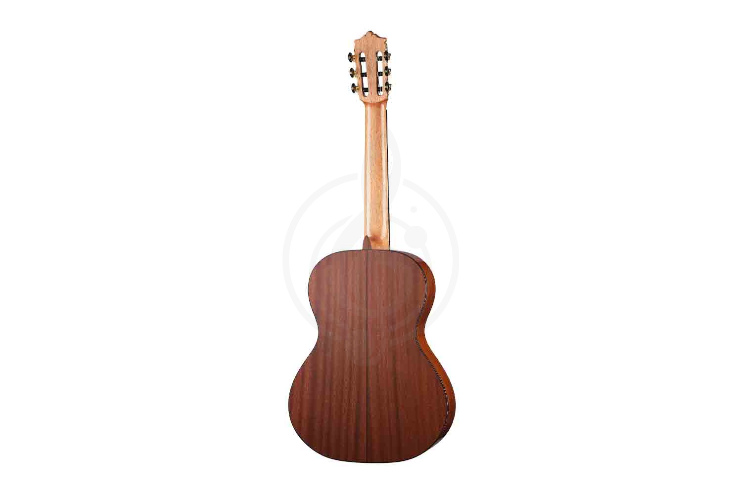 Классическая гитара 4/4 Martinez MC-48C Standard Series - Классическая гитара, MARTINEZ MC-48C в магазине Доминанта мьюзик - фото 5