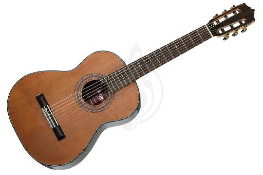 Классическая гитара 3/4 Martinez MC-58C-JUN Standard Series - Классическая гитара 3/4, MARTINEZ MC-58C-JUN в магазине Доминанта мьюзик - фото 1
