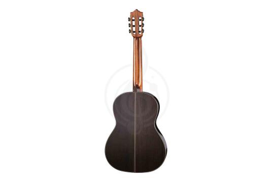 Классическая гитара 4/4 Martinez MC-88S-SEN Standard Series - Классическая гитара, MARTINEZ MC-88S-SEN в магазине Доминанта мьюзик - фото 5