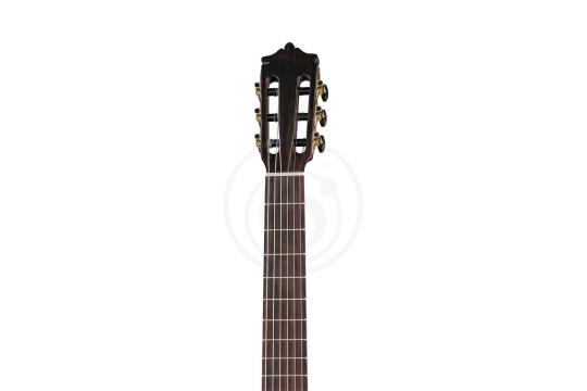 Классическая гитара 4/4 Martinez MC-88S-SEN Standard Series - Классическая гитара, MARTINEZ MC-88S-SEN в магазине Доминанта мьюзик - фото 7