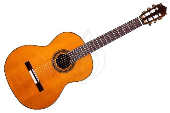 Классическая гитара 4/4 Martinez MC-98C Standard Series - Классическая гитара, MARTINEZ MC-98C в магазине Доминанта мьюзик - фото 1