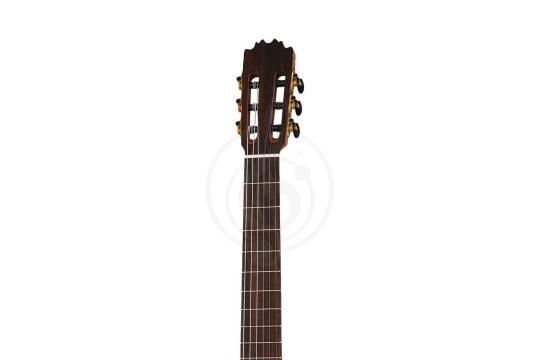 Классическая гитара 4/4 Martinez MF-1-Martinez - Классическая гитара, MARTINEZ MF-1-Martinez в магазине Доминанта мьюзик - фото 7