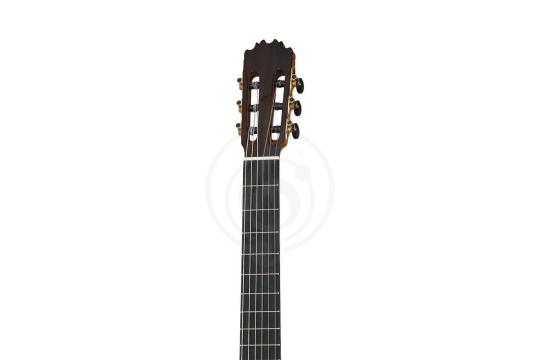 Классическая гитара 4/4 Martinez MF-15 - Классическая гитара, MARTINEZ MF-15 в магазине Доминанта мьюзик - фото 7