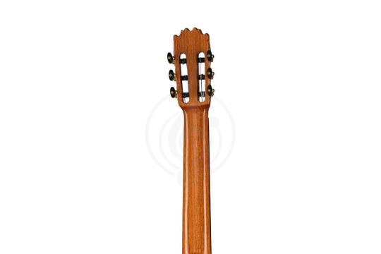 Классическая гитара 4/4 Martinez MF-17 - Классическая гитара, MARTINEZ MF-17 в магазине Доминанта мьюзик - фото 4