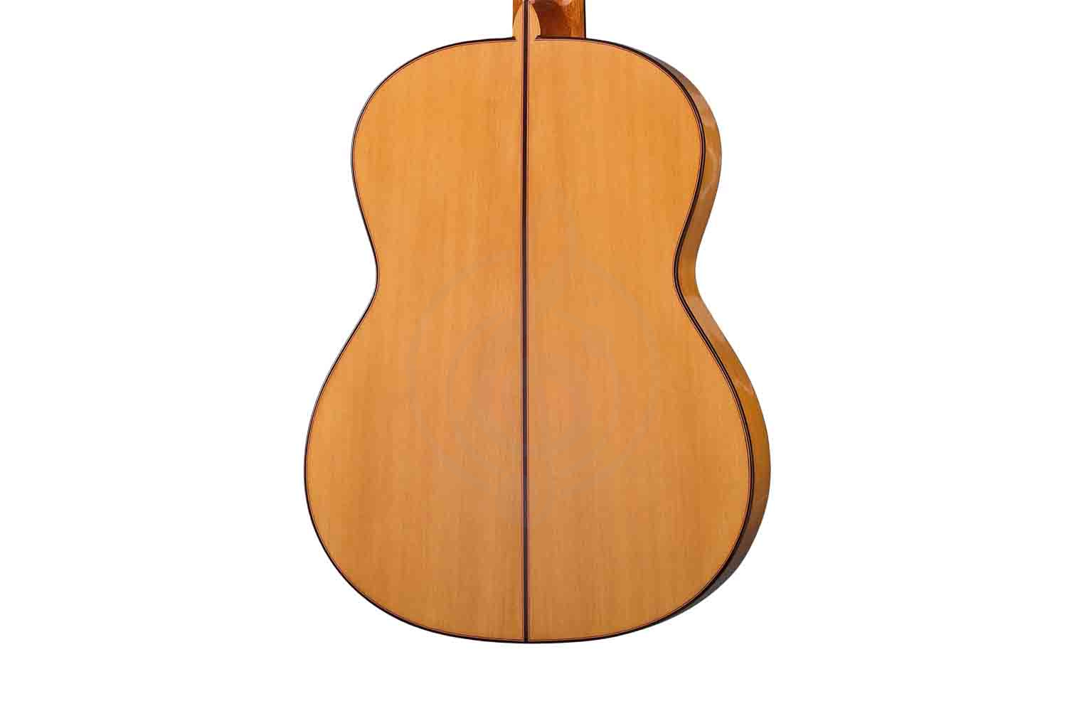 Классическая гитара 4/4 Martinez MF-17 - Классическая гитара, MARTINEZ MF-17 в магазине Доминанта мьюзик - фото 3