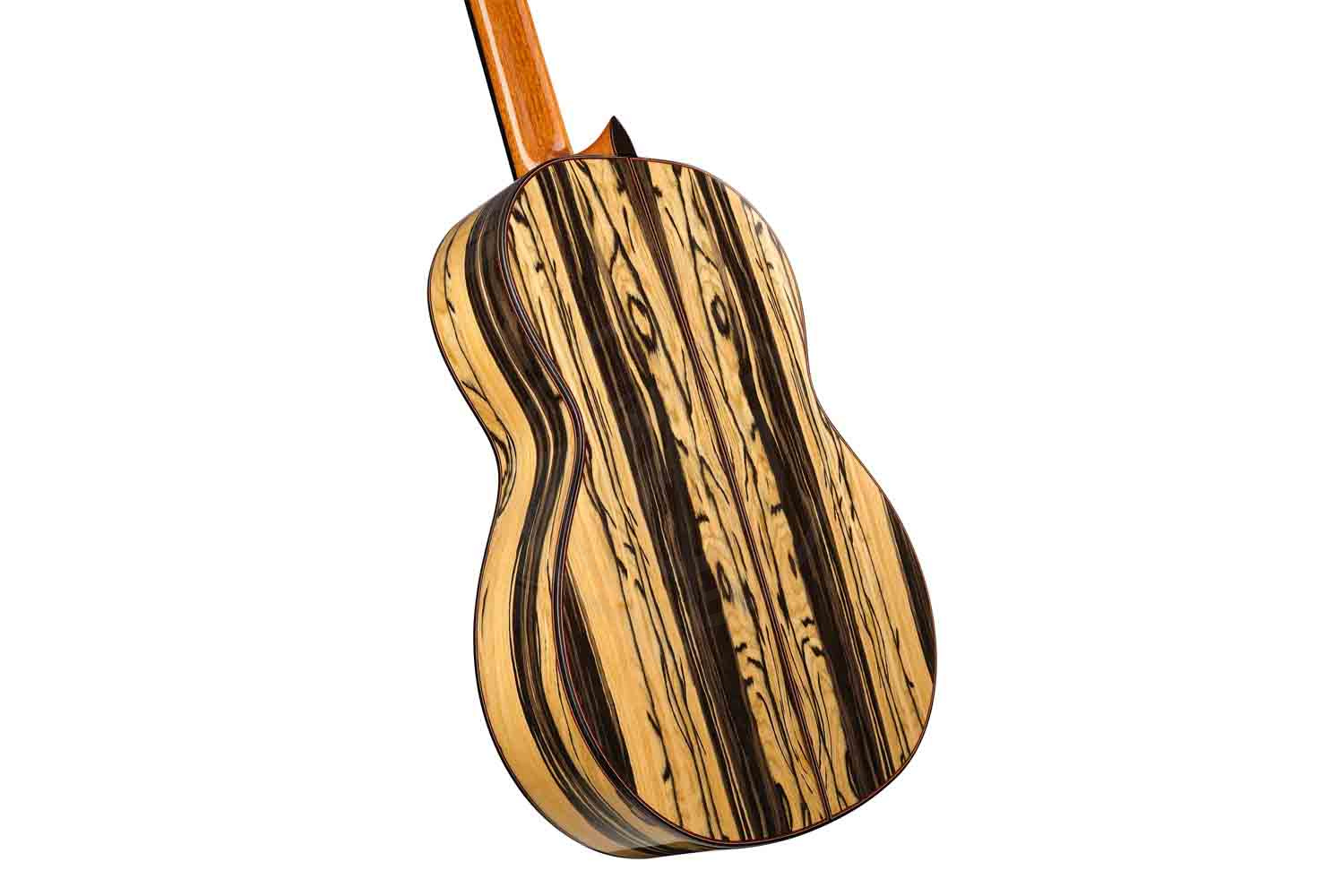 Классическая гитара 4/4 Martinez MF-7 - Классическая гитара, MARTINEZ MF-7 в магазине Доминанта мьюзик - фото 2