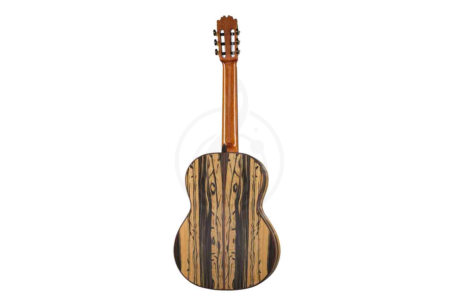 Классическая гитара 4/4 Martinez MF-7 - Классическая гитара, MARTINEZ MF-7 в магазине Доминанта мьюзик - фото 6