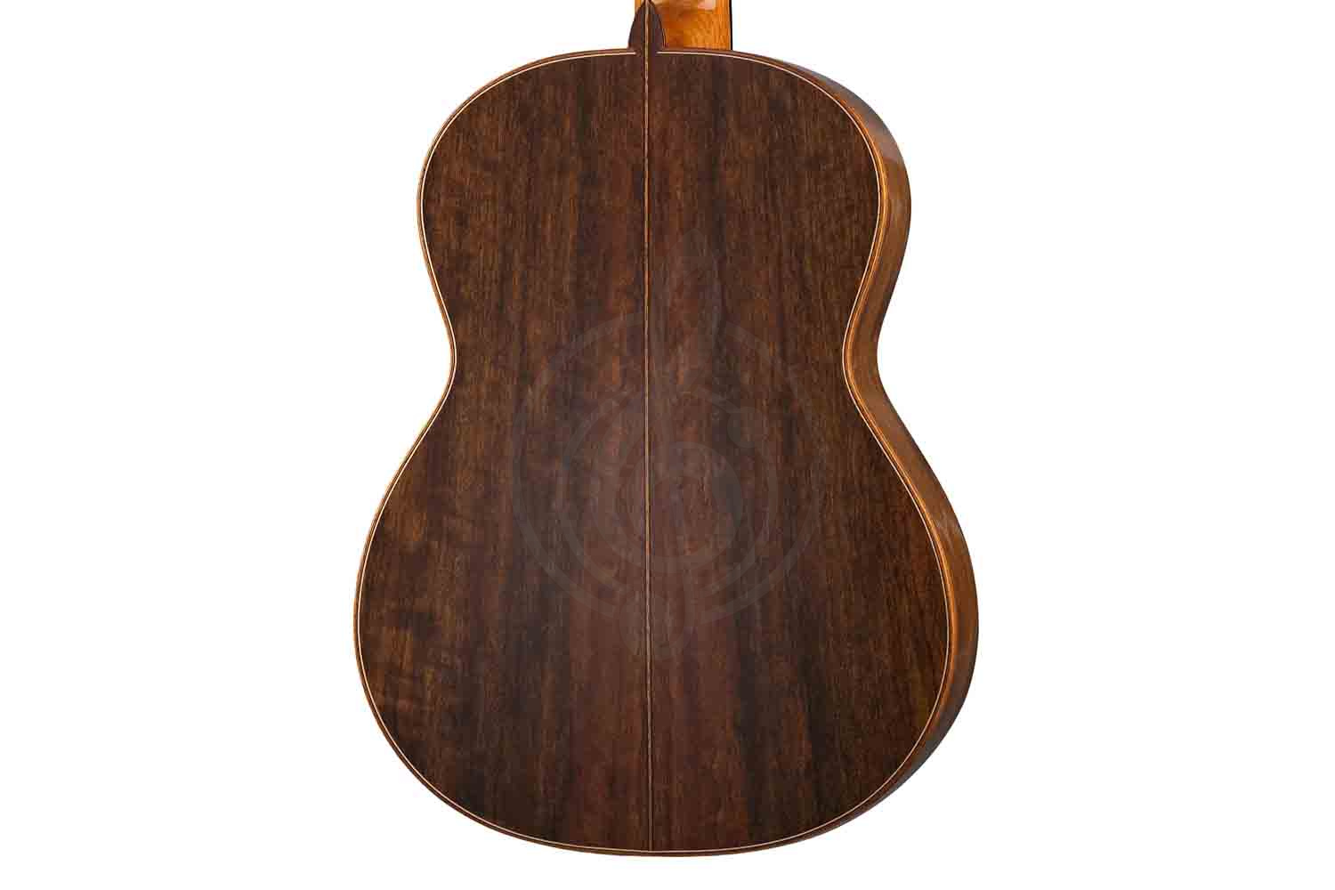Классическая гитара 4/4 Martinez MM10-Martinez - Классическая гитара, MARTINEZ MM10-Martinez в магазине Доминанта мьюзик - фото 3