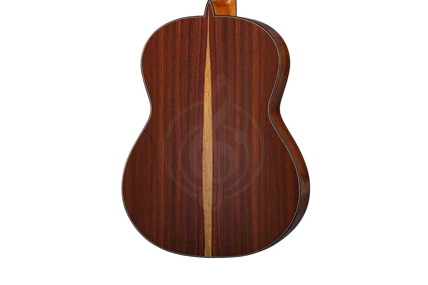 Классическая гитара 4/4 Martinez MM16-Martinez - Классическая гитара, MARTINEZ MM16-Martinez в магазине Доминанта мьюзик - фото 3