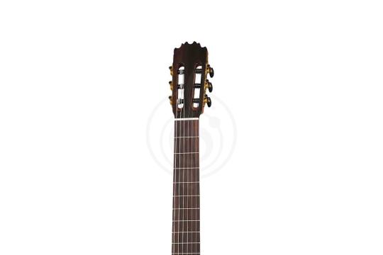 Классическая гитара 4/4 Martinez MM2 - Классическая гитара, MARTINEZ MM2 в магазине Доминанта мьюзик - фото 7
